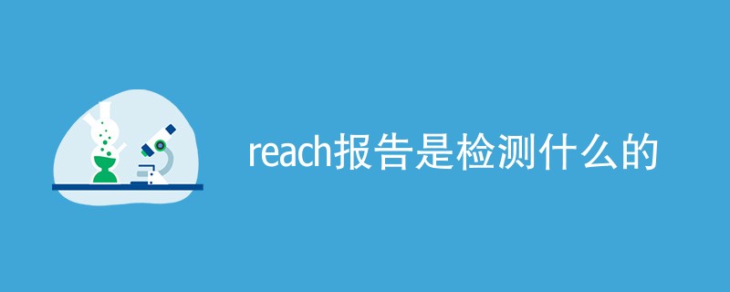 reach报告是检测什么的