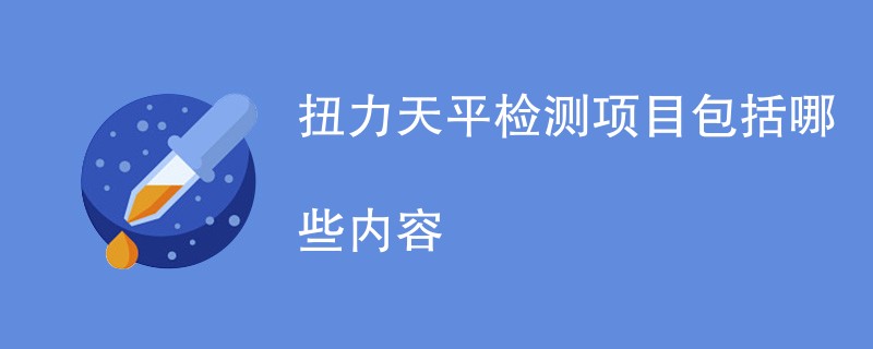 扭力天平检测项目包括哪些内容