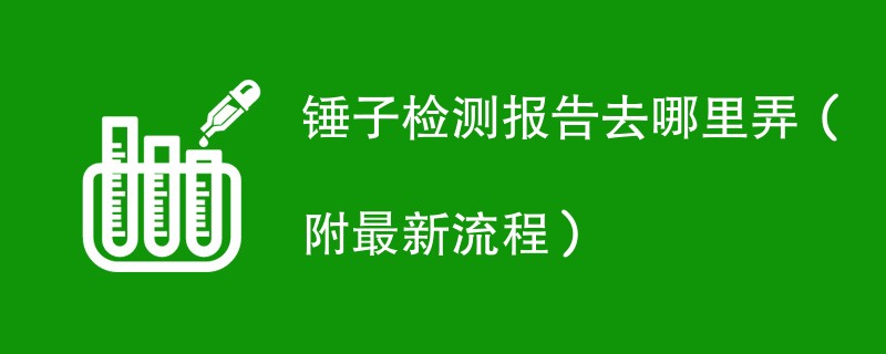 锤子检测报告去哪里弄（附2024最新流程）