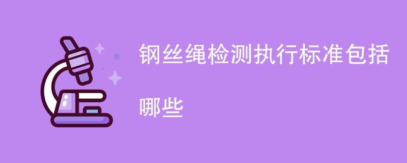 钢丝绳检测执行标准包括哪些