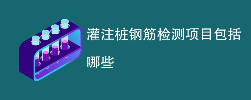 灌注桩钢筋检测项目包括哪些