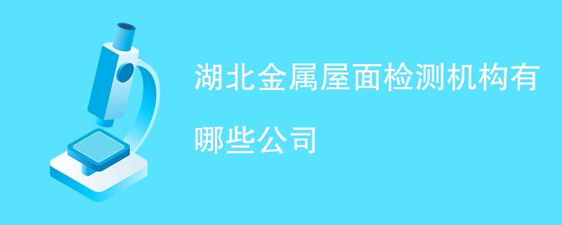 湖北金属屋面检测机构有哪些公司