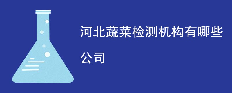 河北蔬菜检测机构有哪些公司